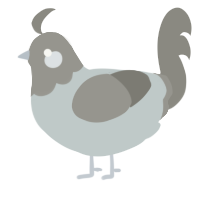 A silver and ash chicken with a head pattern