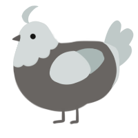 A grey and silver chicken with a head pattern