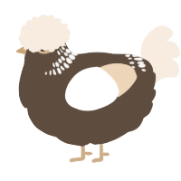A bark and cream chicken with a neck-band pattern
