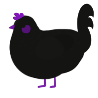 A black chicken with a half-lace pattern