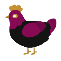 A black and wine chicken with a head pattern