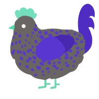 A grey and indigo chicken with a speckle pattern