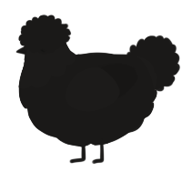 A sable chicken with a head pattern