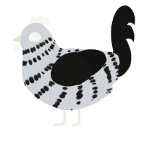 A mist and black chicken with a bar pattern