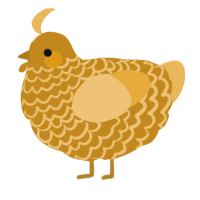 A ochre and honey chicken with a lace pattern