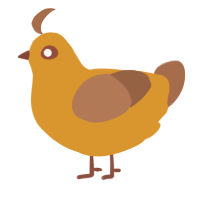 A orange and brown chicken