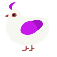 A white and amethyst chicken