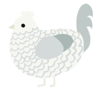 A white and silver chicken with a lace pattern