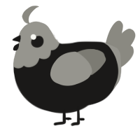 A sable and ash chicken with a head pattern