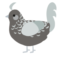 A grey and silver chicken with a half-lace pattern