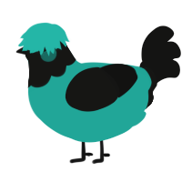 A turquoise and black chicken with a head pattern