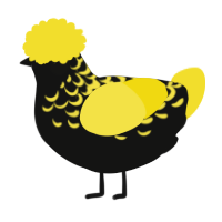 A black and yellow chicken with a half-lace pattern