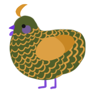 A olive and orange chicken with a lace pattern