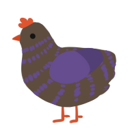 A bark and overcast chicken with a bar pattern