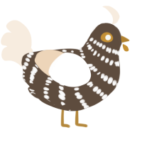 A bark and cream chicken with a bar pattern
