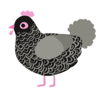 A sable and ash chicken with a double-lace pattern
