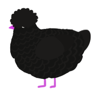 A black and sable chicken with a lace pattern