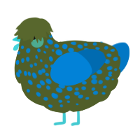 A olive and sapphire chicken with a speckle pattern