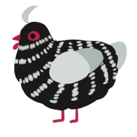 A sable and silver chicken with a bar pattern