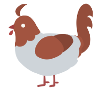 A mist and russet chicken with a head pattern