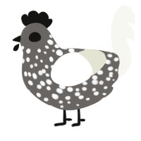 A grey and white chicken with a speckle pattern
