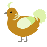 A ochre and apple chicken with a neck-band pattern