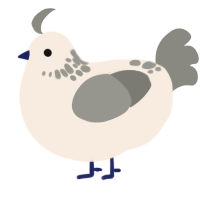 A cream and ash chicken with a neck-speckle pattern