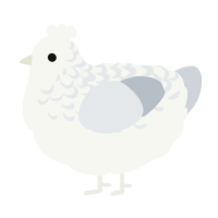 A white and mist chicken with a half-lace pattern
