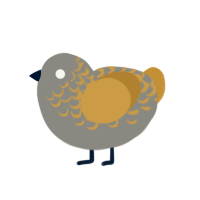 (unnamed), a ash and gold chicken with a half-lace pattern