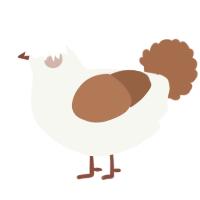 A white and brown chicken