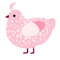 A rose chicken with a speckle pattern