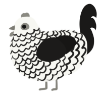 A white and sable chicken with a lace pattern