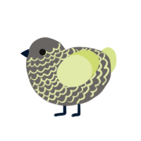 Figgy, a grey and lemon chicken with a lace pattern