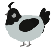 A silver and black chicken with a head pattern