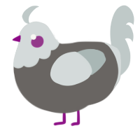 A grey and silver chicken with a head pattern