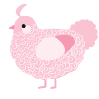 A rose chicken with a double-lace pattern