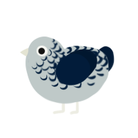 (unnamed), a silver and tumblr chicken with a half-lace pattern