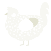 A white chicken with a speckle pattern
