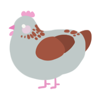 A silver and russet chicken with a neck-speckle pattern