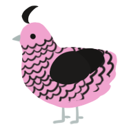 A pink and sable chicken with a lace pattern
