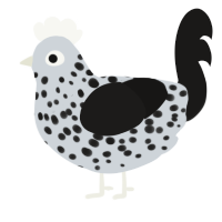 A mist and sable chicken with a speckle pattern
