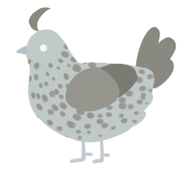 A silver and ash chicken with a speckle pattern