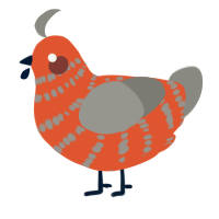 A vermilion and ash chicken with a bar pattern