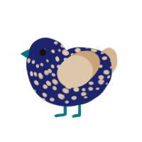 Starry Night, a navy and beige chicken with a speckle pattern