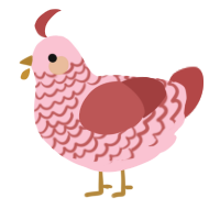 A rose and red chicken with a lace pattern