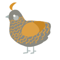 A ash and orange chicken with a lace pattern