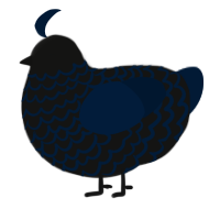 A black and tumblr chicken with a lace pattern