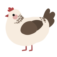 A cream and bark chicken with a neck-band pattern