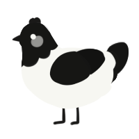 A white and black chicken with a head pattern