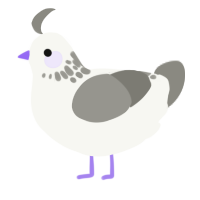 A white and ash chicken with a neck-speckle pattern